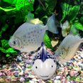 thumbnail image 2 of Adornos flotantes de cerámica para peces, decoración del hogar, estatua de acuario, paisaje simulado, 2 of 6