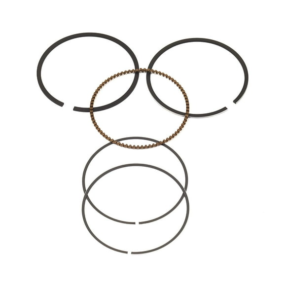 Briggs & Stratton OEM 715111  Ring Set-Std