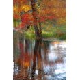 thumbnail image 2 of Gulin, Sylvia 13x18 White Modern Wood Framed Museum Art Print Titled - USA-New Hampshire-Jackson-Autumn in New England with Fall Color of Maple Tree reflected in small po, 2 of 4
