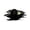 F, variant on Halloween Break-in 3D Wall Decals, Halloween Broken 3D Wall Decals
