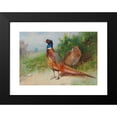 thumbnail image 2 of Archibald Thorburn 14x11 Black Modern Framed Museum Art Print Titled - A Hen and Cock Pheasant by Gorse (1926), 2 of 5