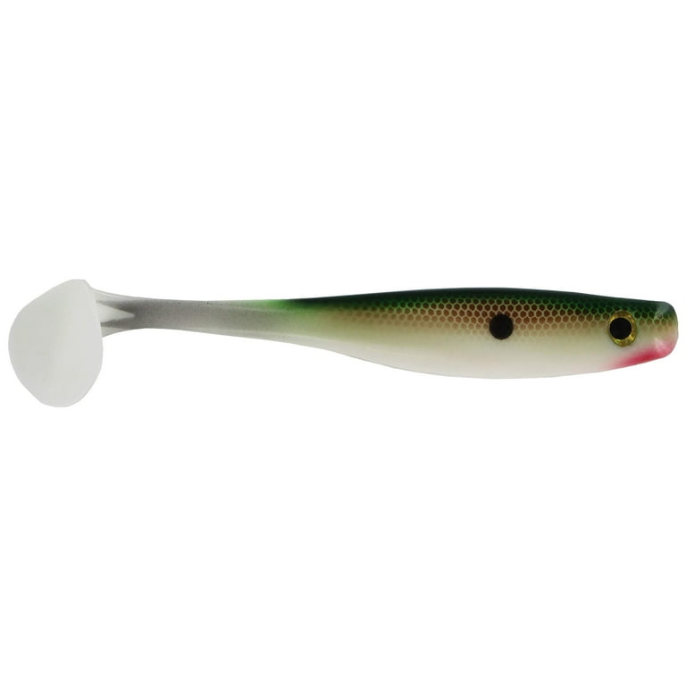 Big Bite Baits Suicide Shad 5 inch Soft Paddle Tail Swimbait (Tennessee  Shad)