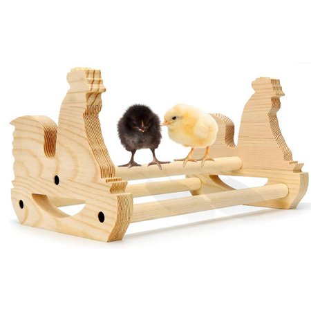 Training Chicken Perch Parakeet Playing Toys Supplies Pet Bird Holder Stand