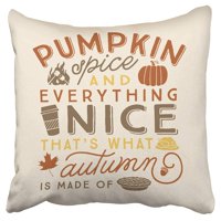 ECCOT Pumpkin Spice Everything Nice is Made Autumn Harvest Pillow Case Pillow Cover 16x16 inch