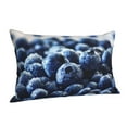 thumbnail image 2 of Disketp Pillow Covers Blueberry Pattern Throw Pillow Case Cushion Covers,Cushion For Bedroom,Couch,Home-14"X20", 2 of 9
