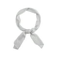thumbnail image 1 of INSPIRAR CHIC Mujeres Bufandas Largas Plisadas, Cinta de Color Sólido con Gradiente Contraste, Bufandas para el Cuello, Color Gris Claro 49.2"x4.3" (LxA), 1 of 5