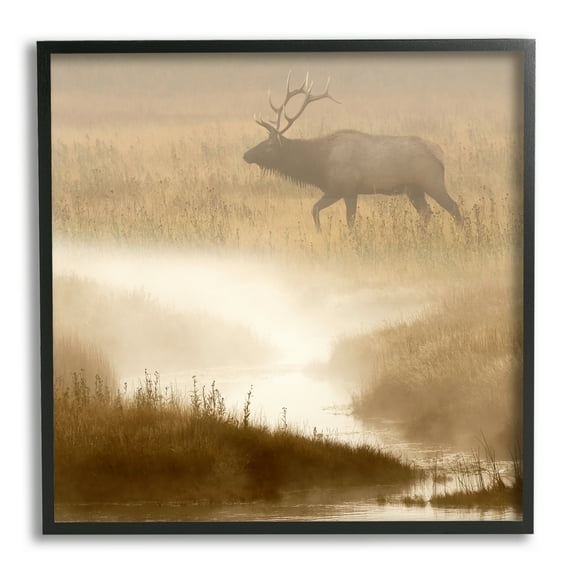 Stupell Industries Foggy River Deer Scene Animals & Insects Photography Black Framed Art Print Wall Art, 12 x 12