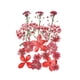 thumbnail image 2 of Xihbxyly Set de Flores Secas Naturales, Materiales para Manualidades con Flores Naturales, Proyectos de Joyería y Resina, Decoración Romántica para El Hogar, Creación de Tarjetas de Felicitación, 1 P, 2 of 2