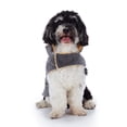 thumbnail image 5 of KEINXS Cozy Dog Winter Coat  Windproof Dog Jacket  Plaid Cold Weather Dog Coat  Warm Dog Vest for Small Dogs Dark Gray S, 5 of 9