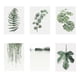 thumbnail image 2 of Sin marco, plantas verdes simples, hojas, pintura al óleo decorativa, imagen, dibujo, póster, decoración de la pared de la habitación AweSitey JJ16766-04, 2 of 6