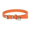 thumbnail image 1 of Candy Color Minimalist Pet Collar Adjustable Leather Neckband for Dogs and Cats Comfortable Daily Wear Durable Training Accessory, 1 of 5