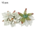 thumbnail image 2 of 10Pcs/Set Simulation Flower Head Fadeless Vivid Delicate Dahlia Chrysanthemum Head for Wedding, 2 of 9