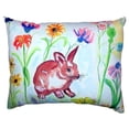 thumbnail image 2 of Betsy Drake ZP348 Dicks Blue Morpho Extra Large Zippered Pillow, 2 of 3
