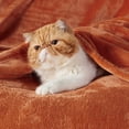 thumbnail image 2 of Manta de Franela Bedsure GentleSoft Twin XL Naranja Quemado 168x229 cm, 2 of 7