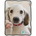 thumbnail image 1 of Imaginarium Goods CFB-ASPCA-PAW Aspca Couvertures Molletonnées pour Chien de Compagnie, 1 of 1