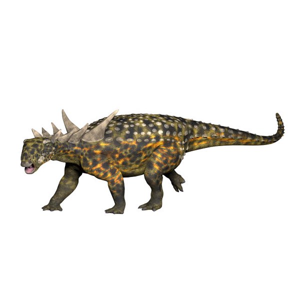 sauropelta fossil
