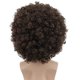 thumbnail image 4 of Peluca Karlery Afro de los años 70 y 80, corta, rizada, marrón oscuro, para hombre y mujer, 4 of 4