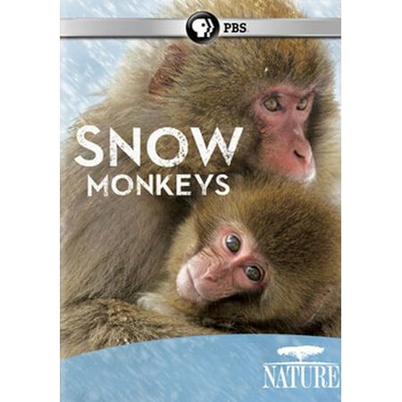 Nature: Snow Monkeys (DVD)