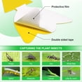 thumbnail image 3 of Sticky Traps YourDada, 40 unidades, para hongos, mosquitos, moscas de la fruta y moscas, 3 of 7