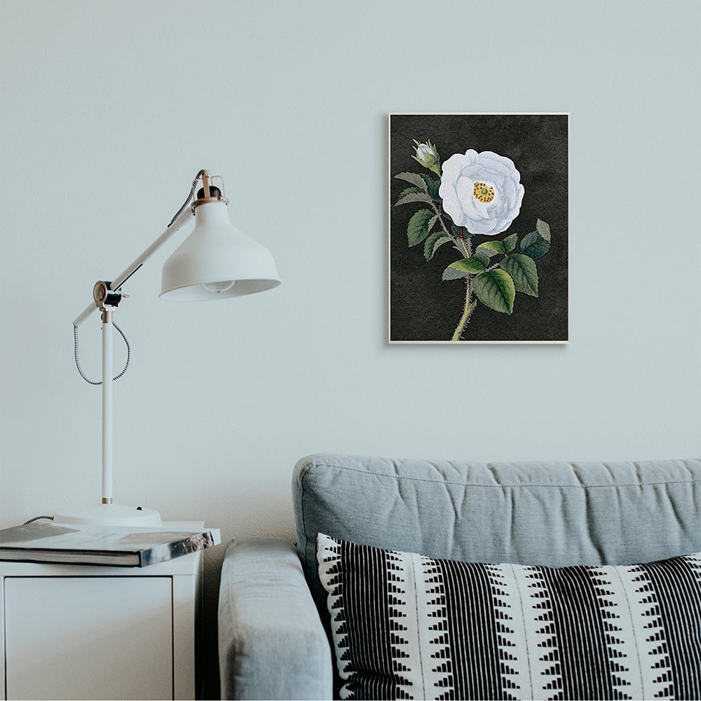 Stupell Industries White Poppy Illustration Vintage Flower Thorns Wall Plaque by Daphne Polselli