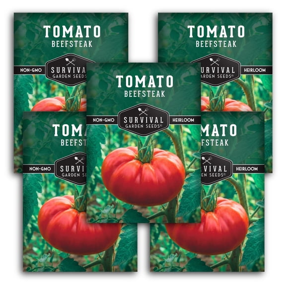 5 Packs Beefsteak Tomato Seeds - Full Sun Annual Vegetable