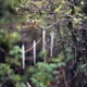 thumbnail image 5 of Adornos para árbol de Navidad con forma de carámbano, 12 piezas - Colgantes para árbol de Navidad con carámbano acrílico, 5 of 8