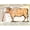 Unframed, variant on Art.com Beef: Diagram Depicting the Different Cuts of Meat Giclee Print, 16" x 12"
