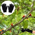 thumbnail image 4 of Bird Training Anti- Bite , Small Animal Handling , Chewing Protective for Small Animal Pet Squirrels Hamster Parrotlets Cockatiels Finch Macaw (1 Pair), 4 of 8