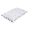Allswell Reversible Memory Foam Pillow, Standard Queen