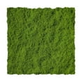 thumbnail image 1 of Ruifaya Plantas verdes artificiales, césped de musgo de poliéster para el hogar, sala de estar, jardín, 2024, artesanías de césped, decoración de paisajes falsos, plantas de musgo, macetas, plantas, 1 of 7