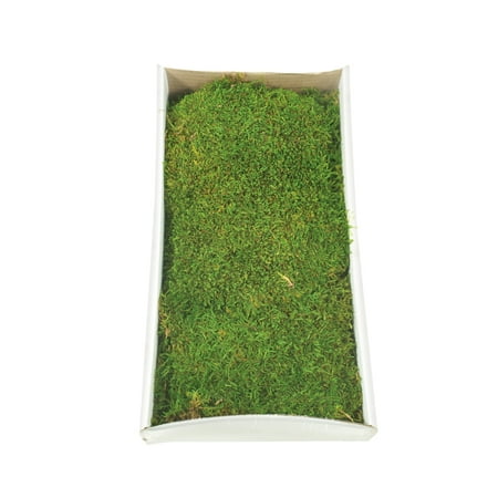 

Vickerman Green Sheet Moss Tray Accent Any Arrangement with the Rich Color and Texture of Preserved Real Moss 8 oz Per Tray