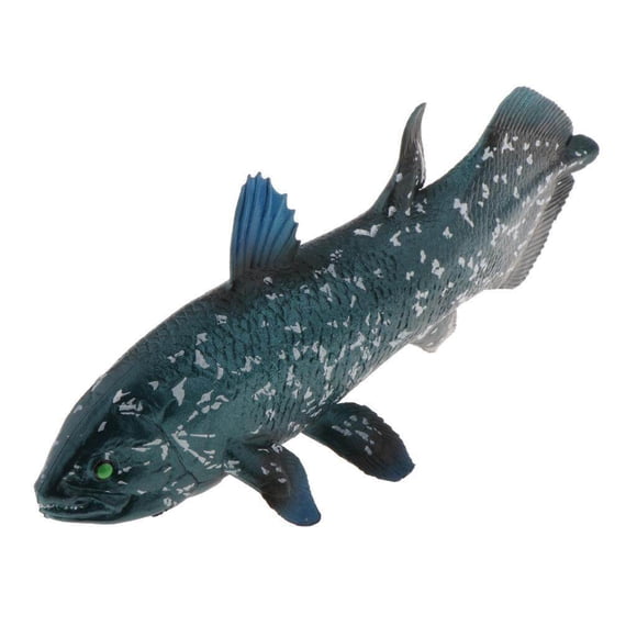 VONKY Realistic Static Ocean Animal Model Toy Kids Gift Latimeria