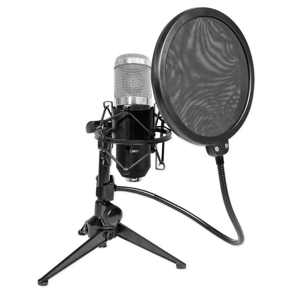 Rockville RCM01 Studio Recording Condenser Microphone Shockmount Stand Filter