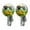 Multi-color, variant on South American Tree Frog Neon Novelty Silver Plated Stud Earrings