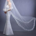 Bridal Veil Single Layer Lace Embroidered Headgear Long Style Dress 