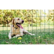 YARDGARD 36 inch by 50-foot 14 gauge Including Green PVC Coating 2 inch by 4 inch mesh Welded Wire