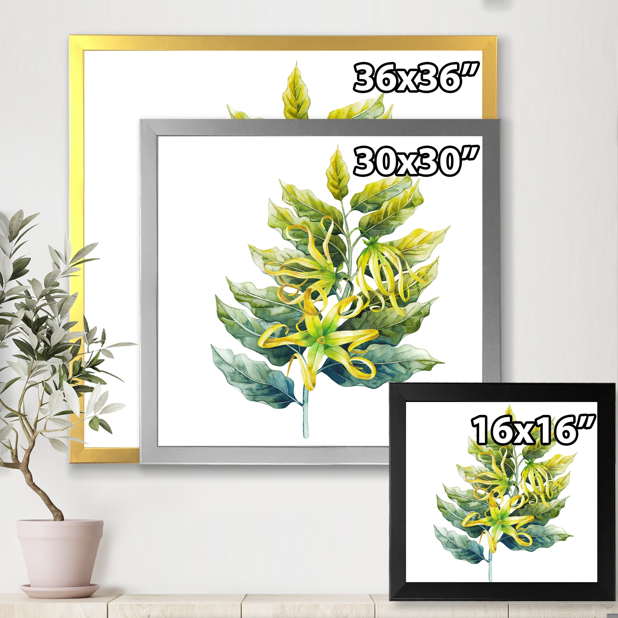 Designart 'Ylang Ylang Flower On White' Traditional Framed Art Print