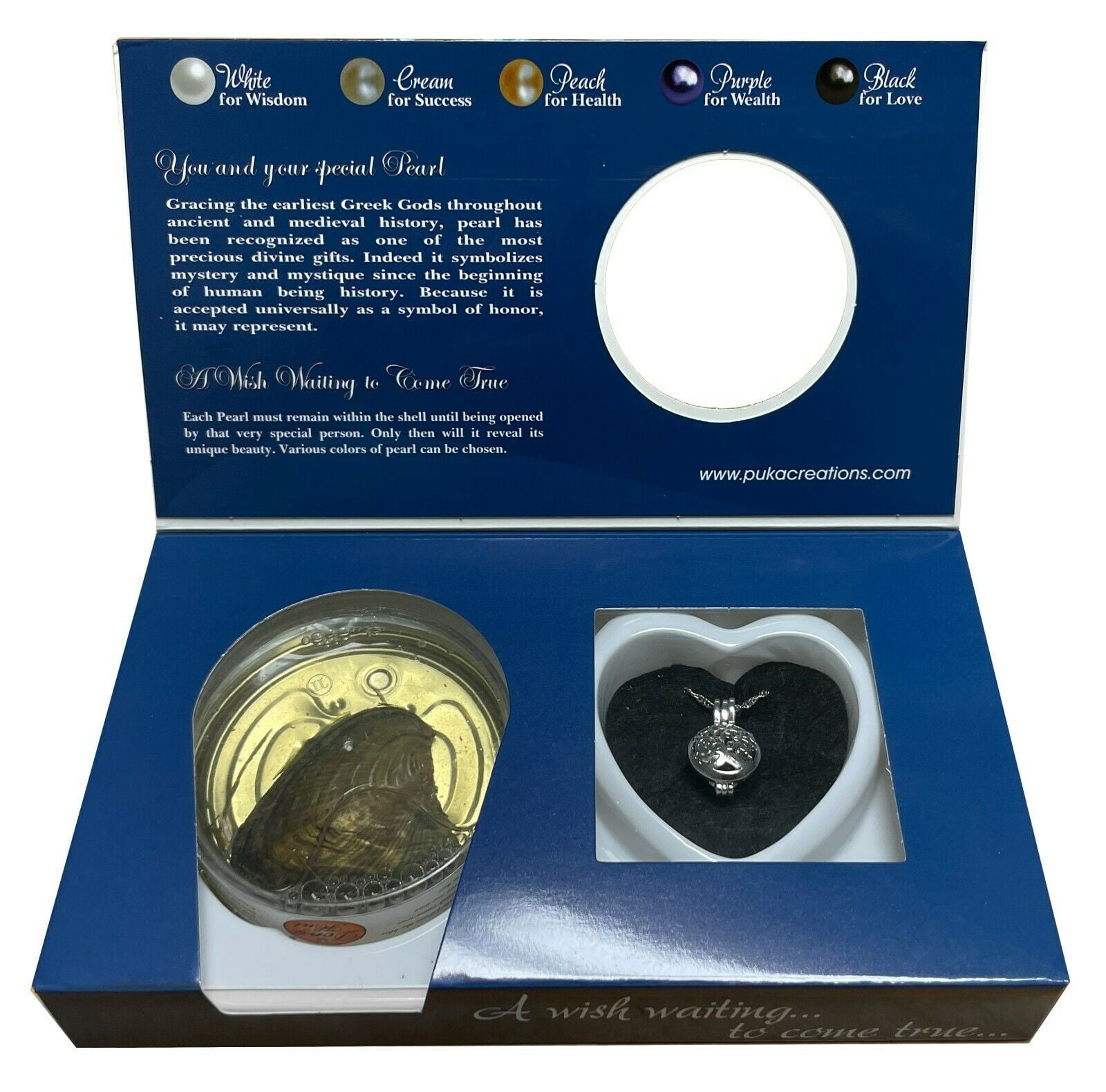 Clam store necklace kit