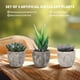 thumbnail image 2 of OUNONA Juego de 3 plantas suculentas artificiales decorativas con macetas, 2 of 7