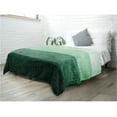 thumbnail image 6 of PAVILIA Fluffy Sherpa Throw Blanket Ombre | Gradient Plush, Soft, Fuzzy, Decorative Accent Throw Blanket for Couch Sofa Twin Bed | Cozy Warm Decorative Furry Faux Fur Blanket, 60x80 Inches Green, 6 of 8