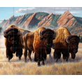 thumbnail image 1 of Tile Mural Kitchen Backsplash - Bison Under The Flatirons-CF - by Cynthie Fisher, 1 of 1