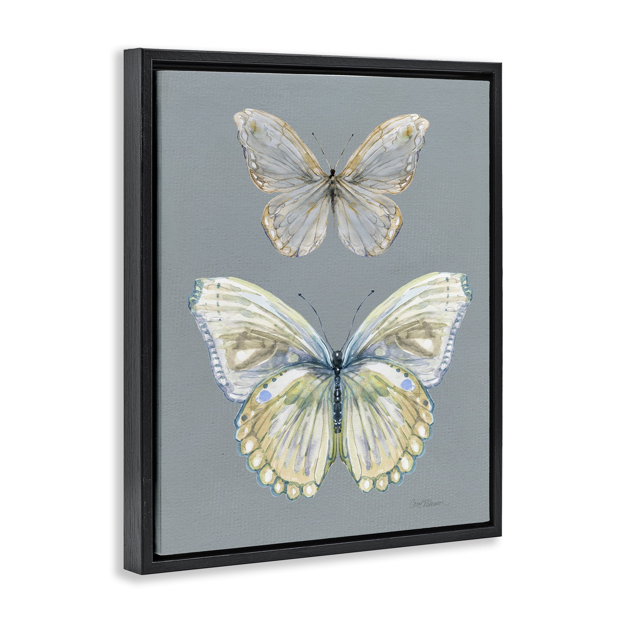 Stupell Industries Butterfly Pair Study Black Framed Floater Canvas Wall Art, design by Carol Robinson