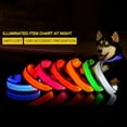 Light Up Dog Collar, LED Glow Collar with USB Rechargeable Lighted