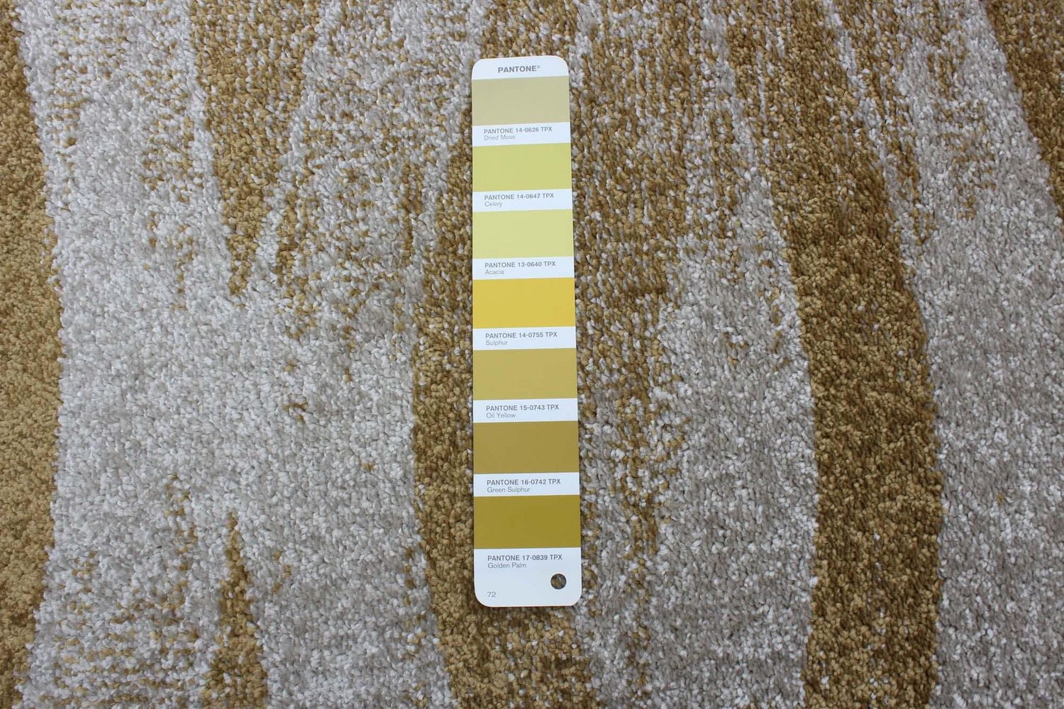 ECARPET Neela Ivory/Gold Rug