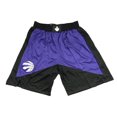 thumbnail image 1 of Raptors Retro Full Embroidered Zipper Pocket Pants, Basketball Dense Embroidered Shorts, Basketball Training Pants-HAPDEN, 1 of 3