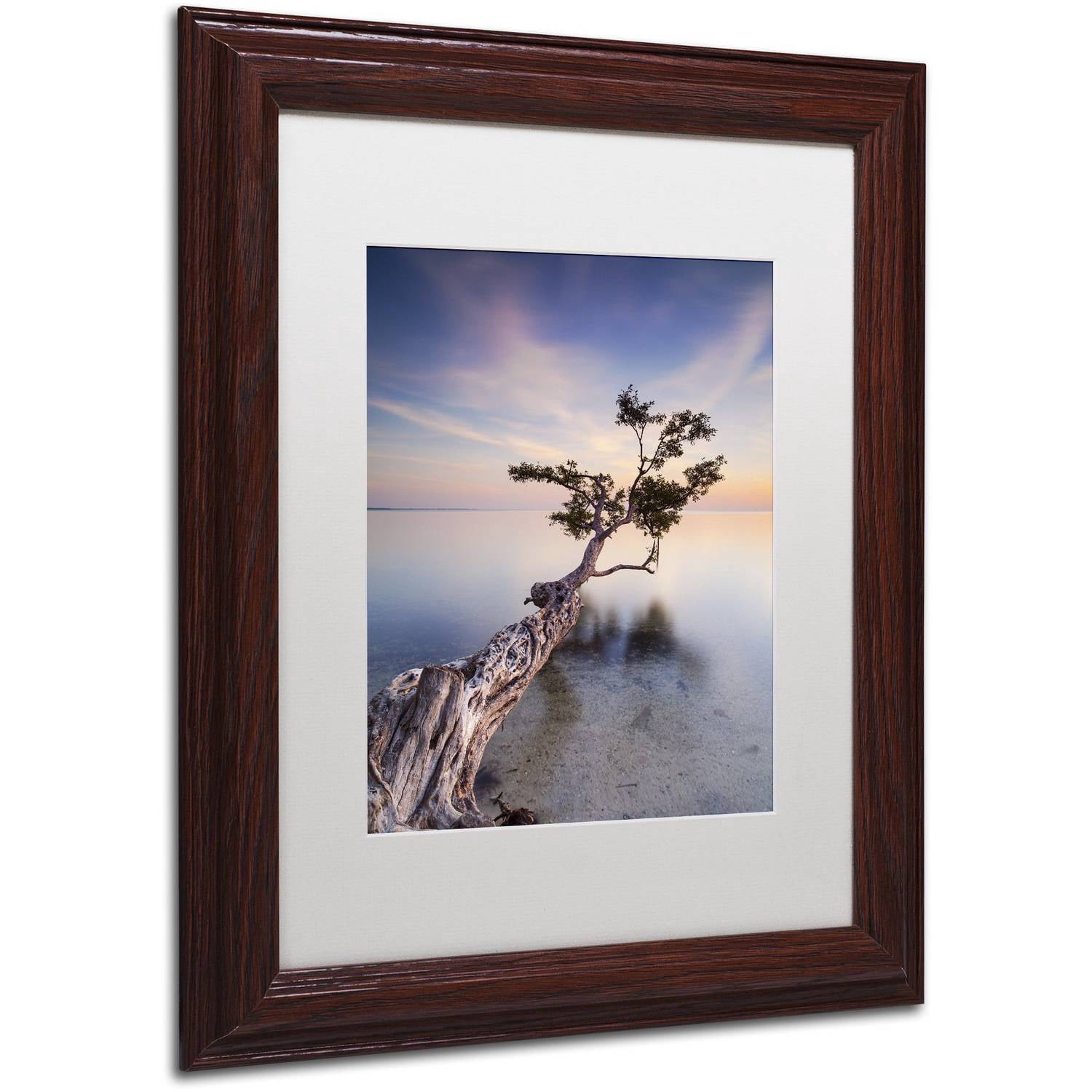 Trademark Fine Art "Water Tree X" Canvas Art by Moises Levy White Matte, Wood Frame