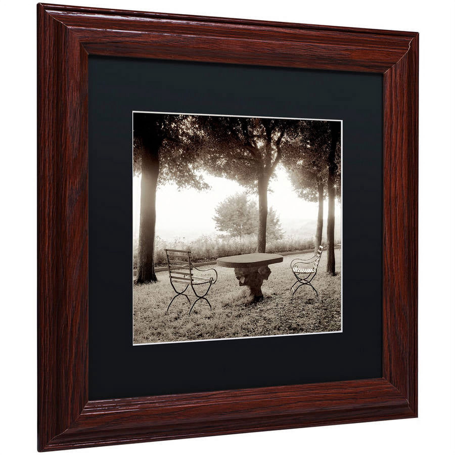 Trademark Fine Art "Fiesloe Giardini I" Canvas Art by Alan Blaustein, Black Matte, Wood Frame