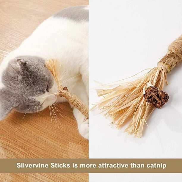 Dental chew sticks for cats cheap