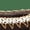 Dark Brown, variant on UGG GRADE SCHOOL K Tasman II "Antilope" 1019066 K ALP 1019066 K ALP from Stadium Goods