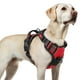 thumbnail image 1 of Arnés para perros Rabbitgoo mejorado, sin tirones, para perros grandes, color rojo L, 1 of 8